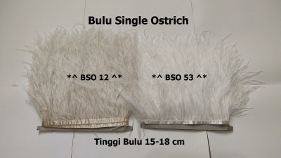 large2 BSO DNb